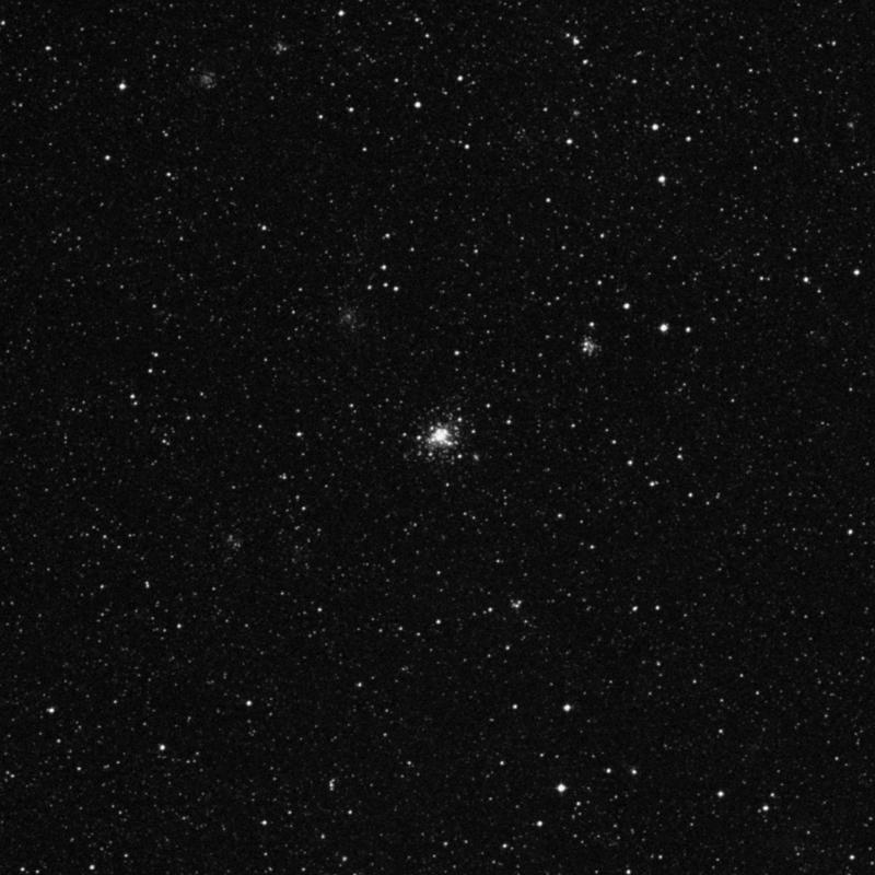 Image of NGC 1818 - Globular Cluster in Dorado star
