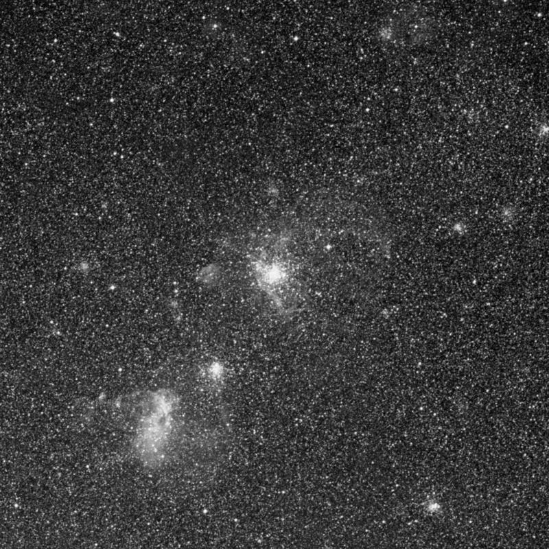 Image of NGC 1850 - Globular Cluster in Dorado star