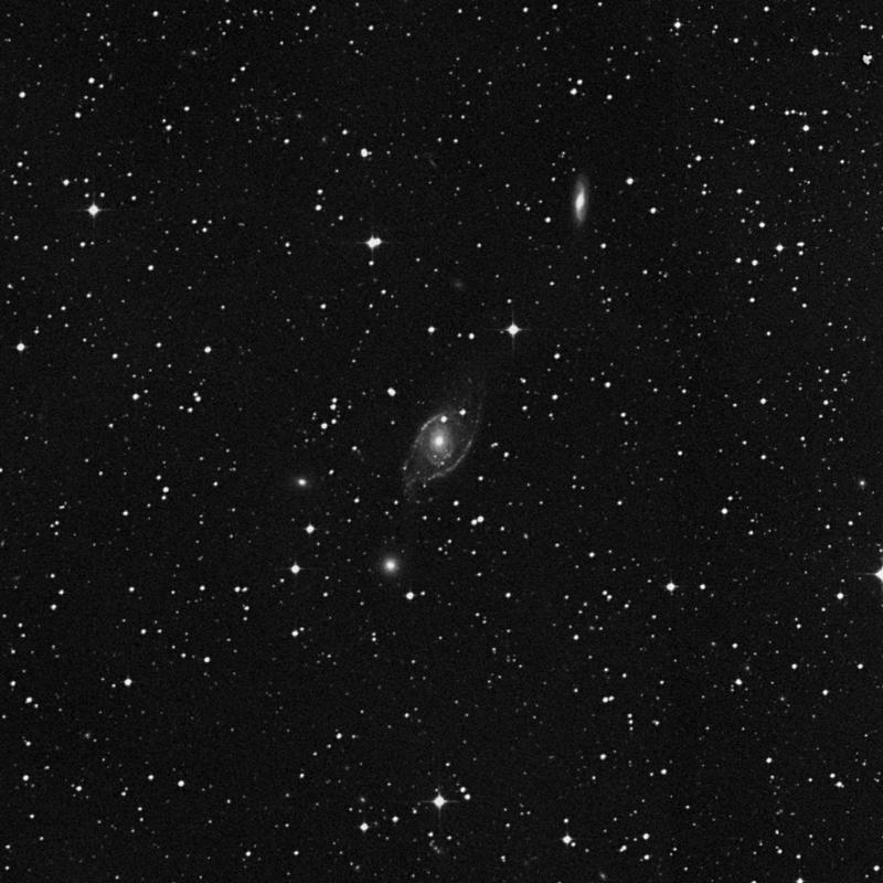 Image of NGC 1954 - Spiral Galaxy in Lepus star