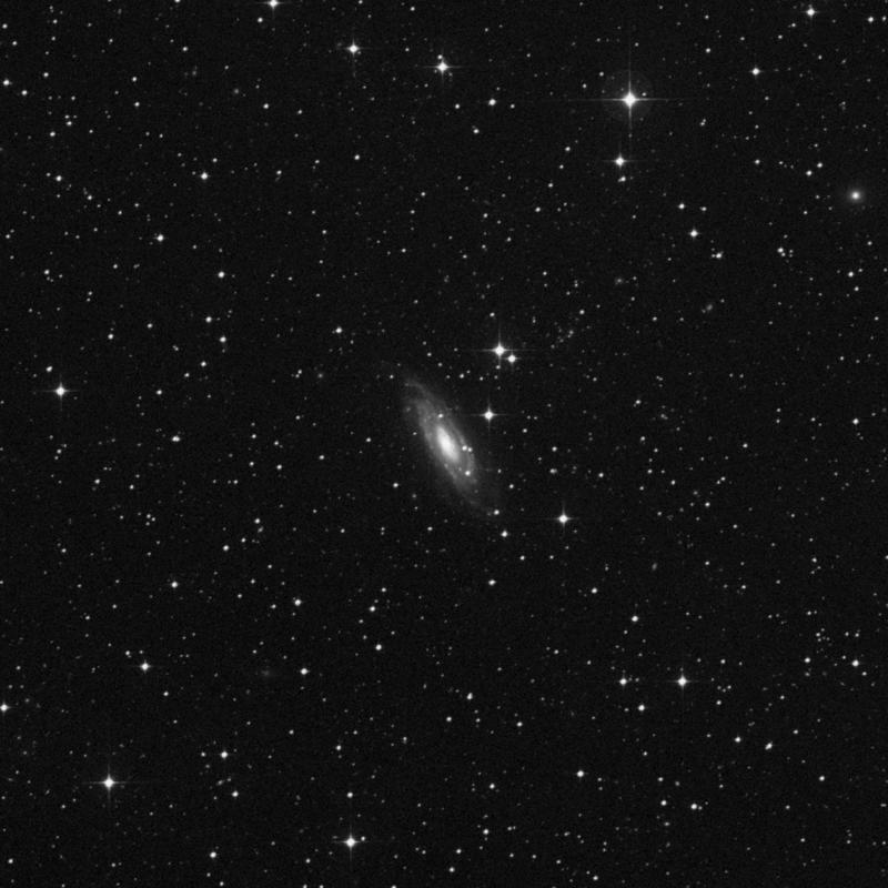 Image of NGC 1964 - Intermediate Spiral Galaxy in Lepus star