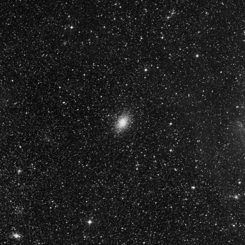 Image of NGC 1978 - Globular Cluster in Dorado star
