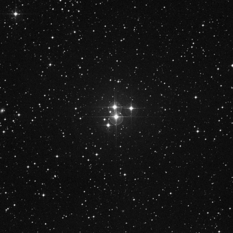 Image of NGC 2017 - Open Cluster in Lepus star