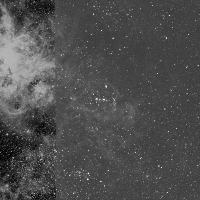 Image of NGC 2044 - Association of Stars in Dorado star