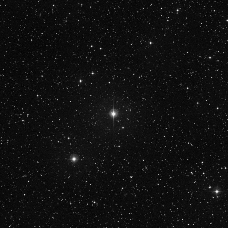 Image of NGC 2045 - Star in Taurus star