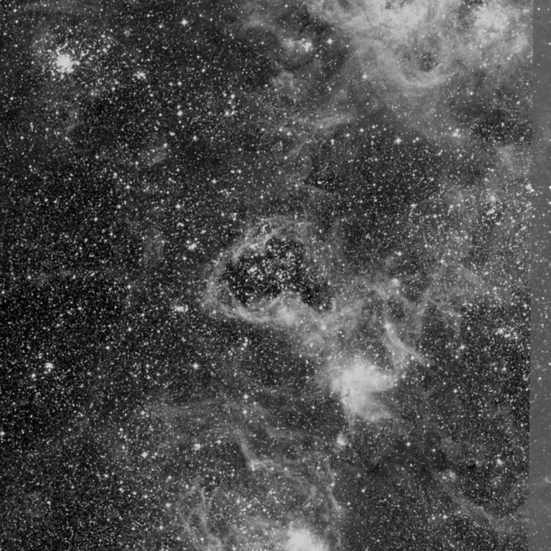 Image of NGC 2081 - Star Cluster + Nebula in Dorado star