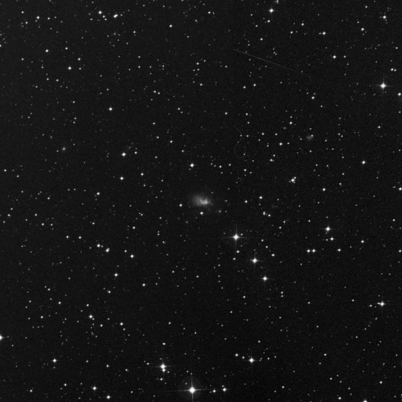 Image of NGC 2101 - Irregular Galaxy in Pictor star