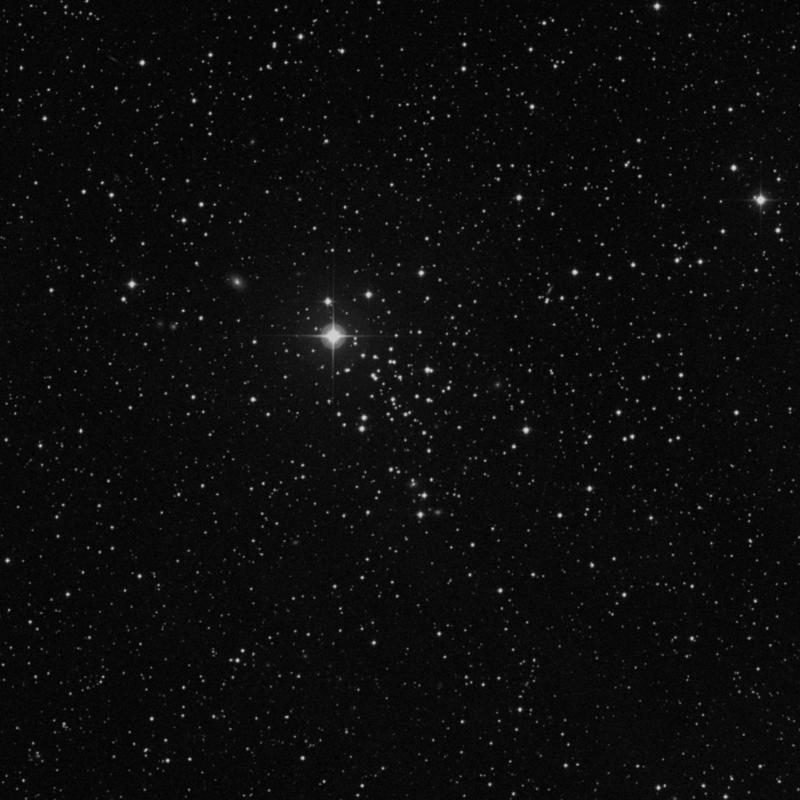 Image of NGC 2126 - Open Cluster in Auriga star