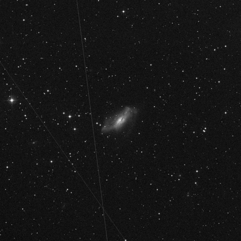 Image of NGC 2146 - Barred Spiral Galaxy in Camelopardalis star