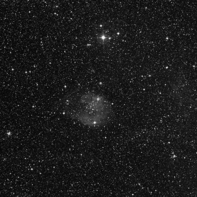 Image of NGC 2147 - Open Cluster in Dorado star