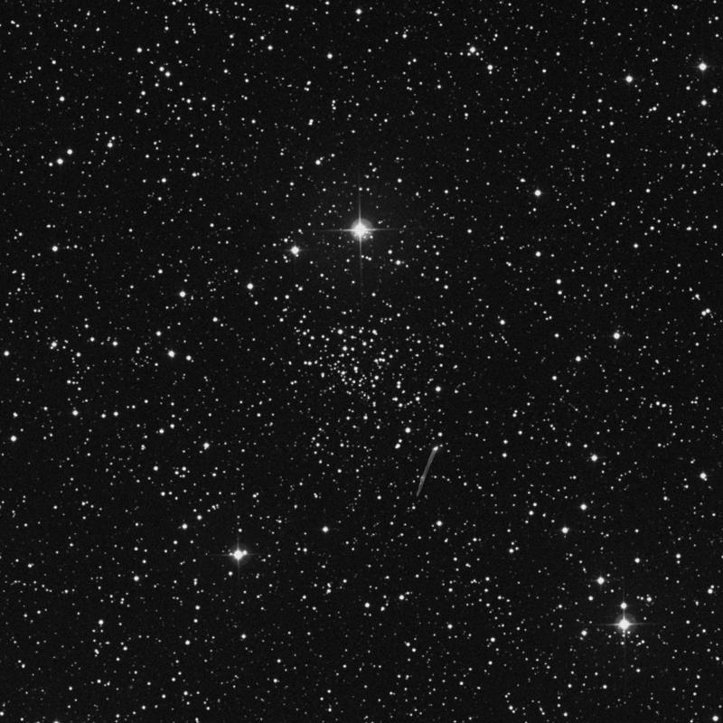 Image of NGC 2192 - Open Cluster in Auriga star