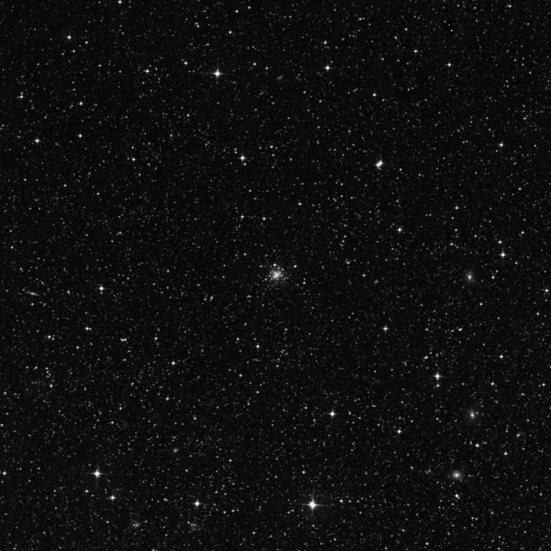 Image of NGC 2193 - Globular Cluster in Dorado star