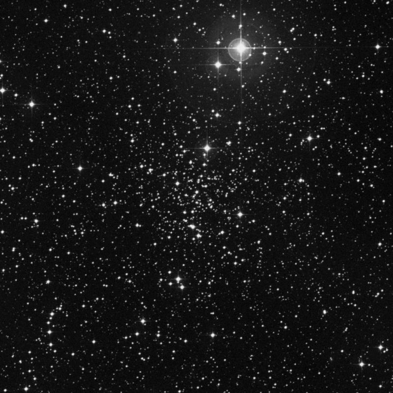 Image of NGC 2204 - Open Cluster in Canis Major star
