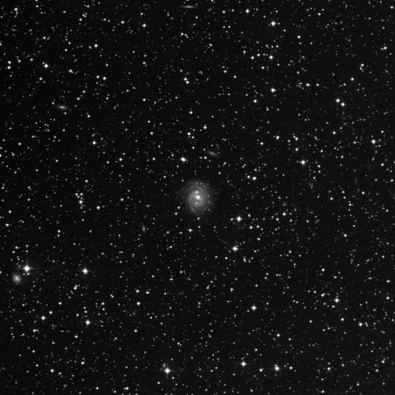 Image of NGC 2223 - Spiral Galaxy in Canis Major star