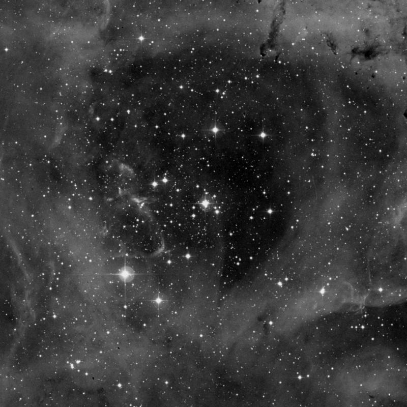 Image of NGC 2239 - Star Cluster + Nebula in Monoceros star