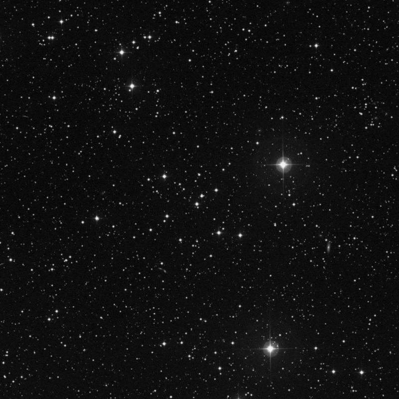 Image of NGC 2240 - Open Cluster in Auriga star