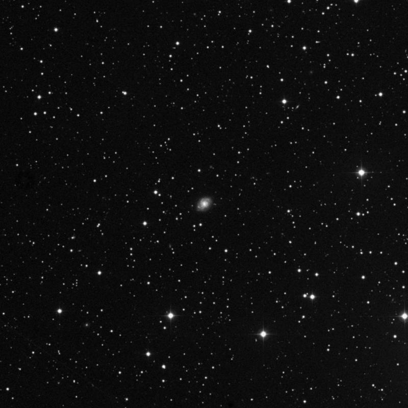 Image of NGC 2253 - Spiral Galaxy in Camelopardalis star