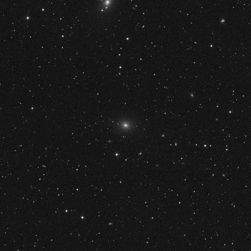Image of NGC 2256 - Elliptical/Spiral Galaxy in Camelopardalis star