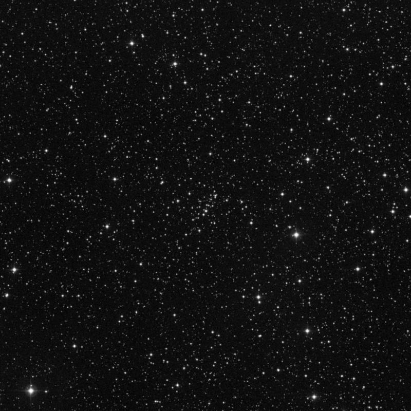Image of NGC 2269 - Open Cluster in Monoceros star