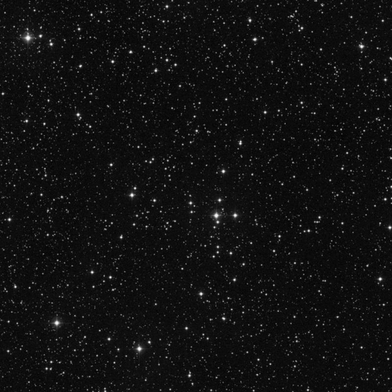 Image of NGC 2270 - Open Cluster in Monoceros star