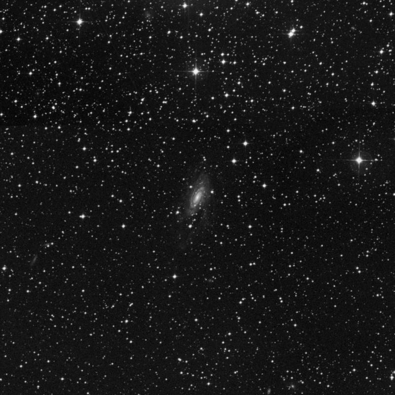 Image of NGC 2280 - Spiral Galaxy in Canis Major star