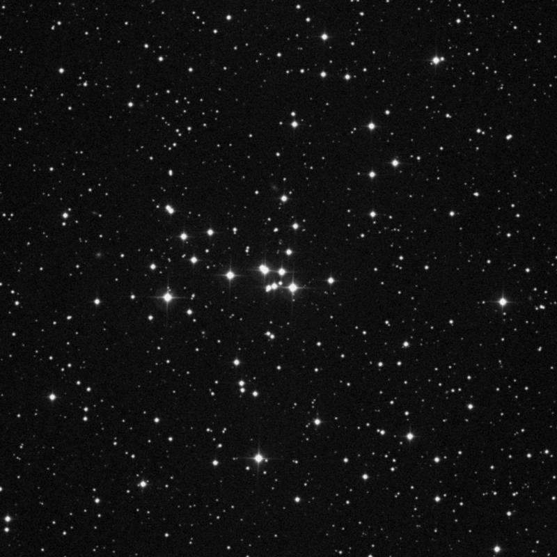 Image of NGC 2281 - Open Cluster in Auriga star
