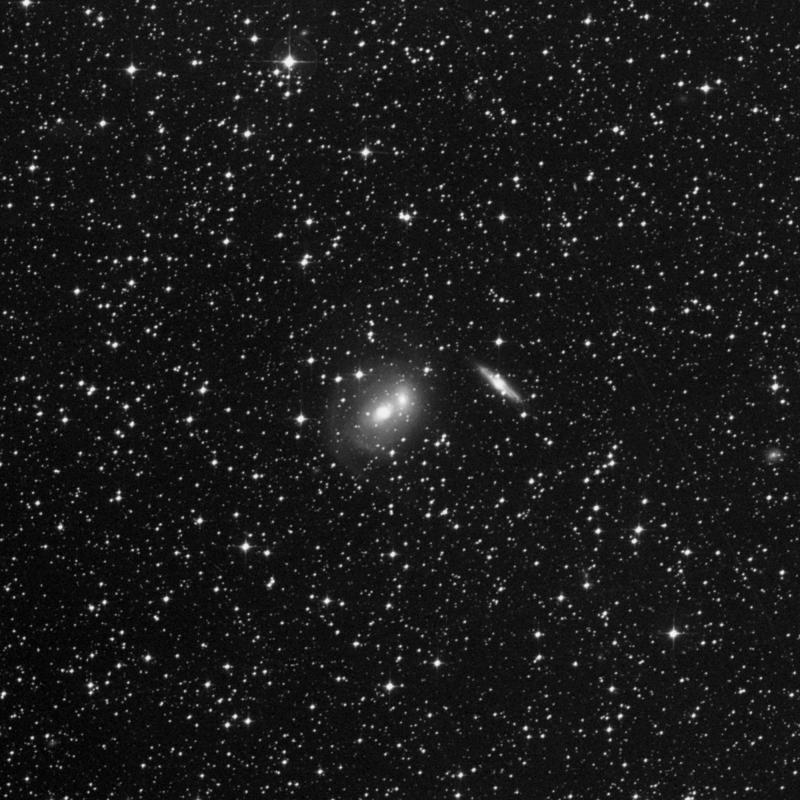 Image of NGC 2292 - Lenticular Galaxy in Canis Major star