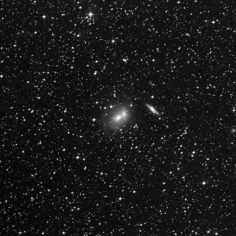 Image of NGC 2293 - Lenticular Galaxy in Canis Major star