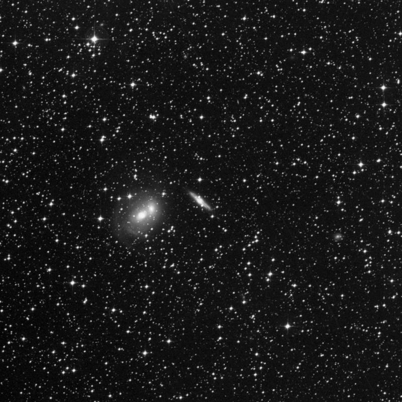 Image of NGC 2295 - Spiral Galaxy in Canis Major star