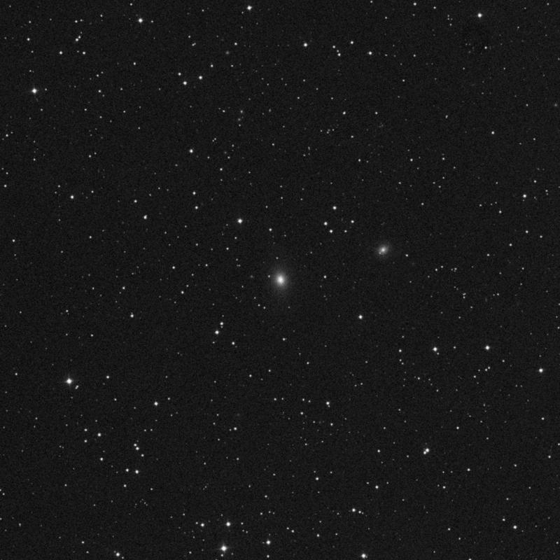 Image of NGC 2314 - Elliptical Galaxy in Camelopardalis star