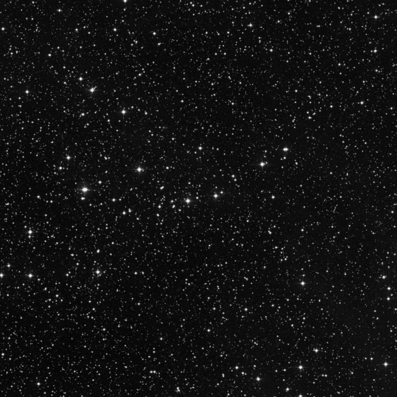 Image of NGC 2319 - Open Cluster in Monoceros star