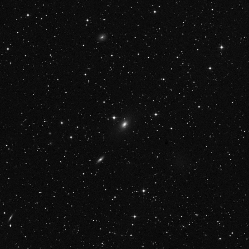 Image of NGC 2320 - Elliptical Galaxy in Lynx star