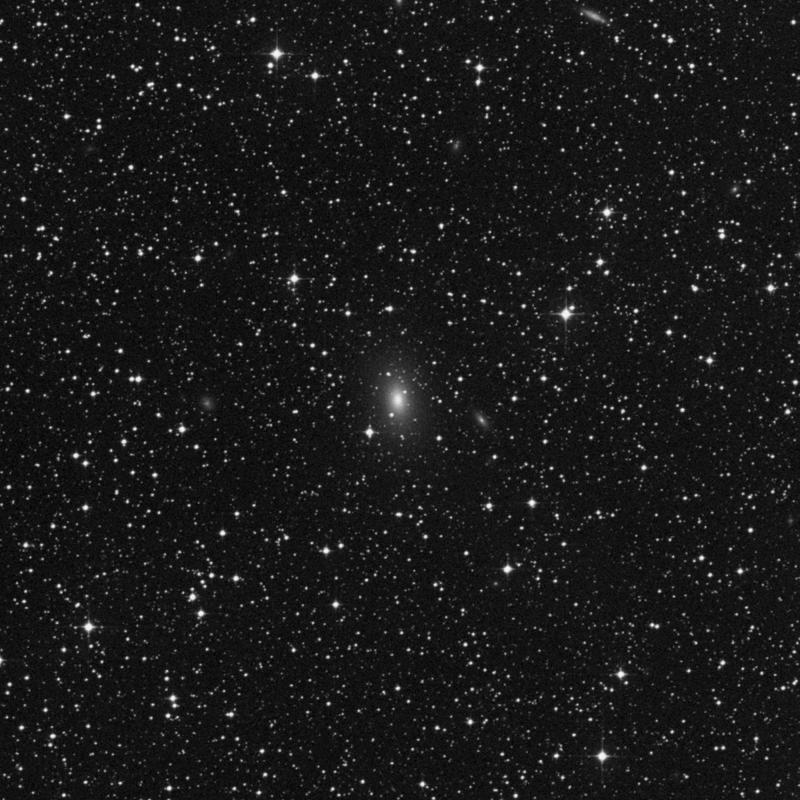 Image of NGC 2325 - Elliptical Galaxy in Canis Major star