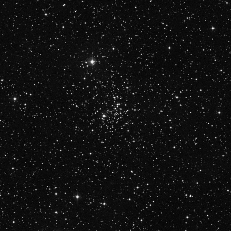 Image of NGC 2355 - Open Cluster in Gemini star