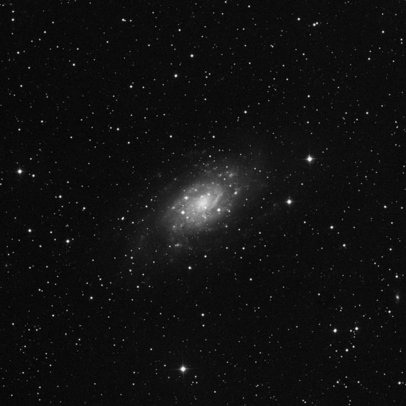 Image of NGC 2403 - Intermediate Spiral Galaxy in Camelopardalis star