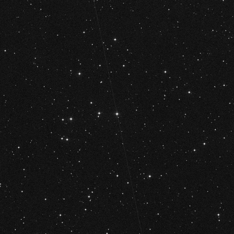 Image of NGC 2408 - Open Cluster in Camelopardalis star