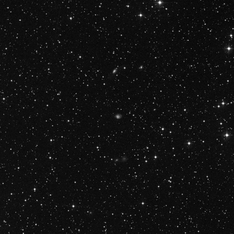 Image of NGC 2416 - Spiral Galaxy in Canis Minor star