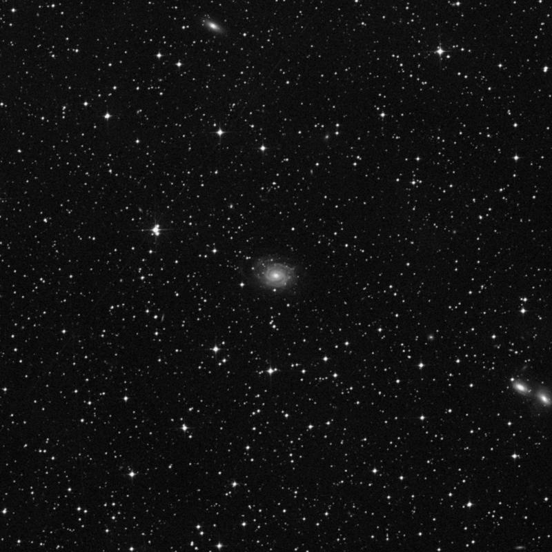 Image of NGC 2417 - Barred Spiral Galaxy in Carina star