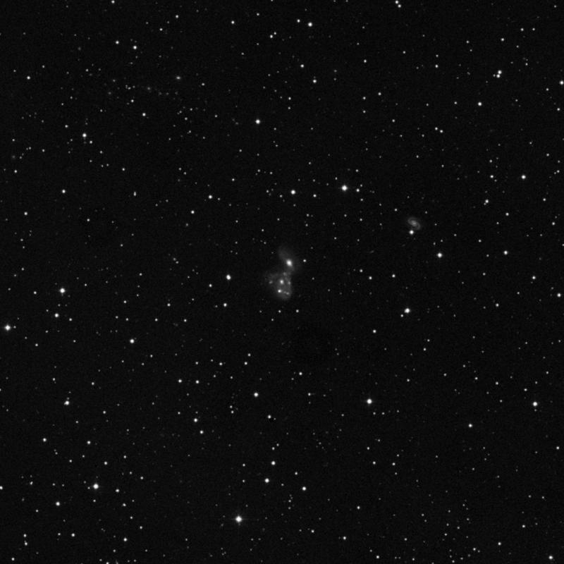 Image of NGC 2445 - Spiral Galaxy in Lynx star