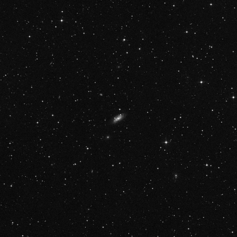 Image of NGC 2446 - Spiral Galaxy in Lynx star