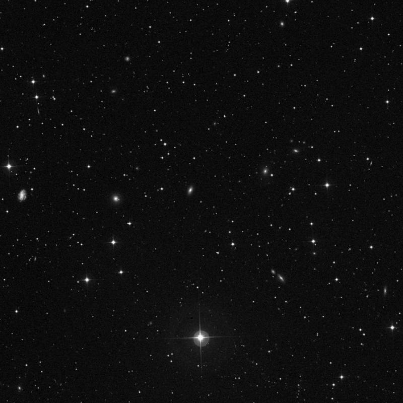 Image of NGC 2461 - Star in Lynx star