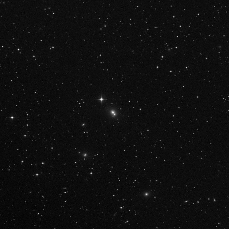 Image of NGC 2474 - Elliptical Galaxy in Lynx star