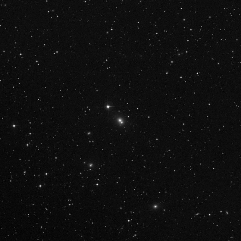 Image of NGC 2475 - Elliptical Galaxy in Lynx star