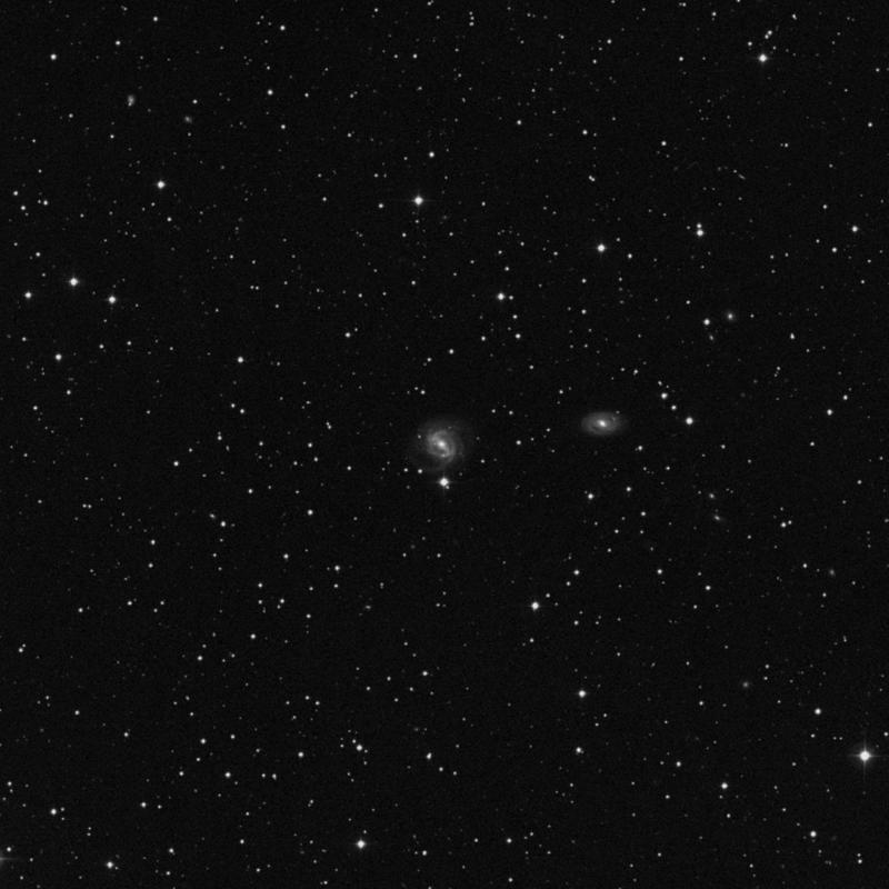 Image of NGC 2487 - Spiral Galaxy in Gemini star