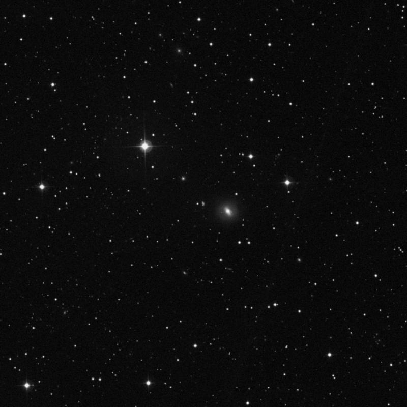 Image of NGC 2495 - Spiral Galaxy in Lynx star