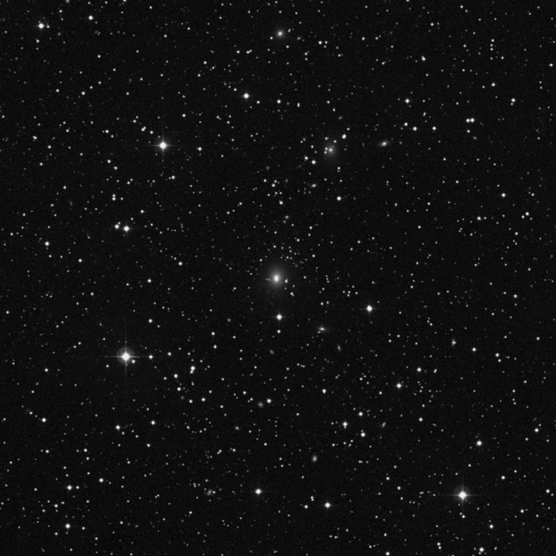 Image of NGC 2496 - Elliptical Galaxy in Canis Minor star