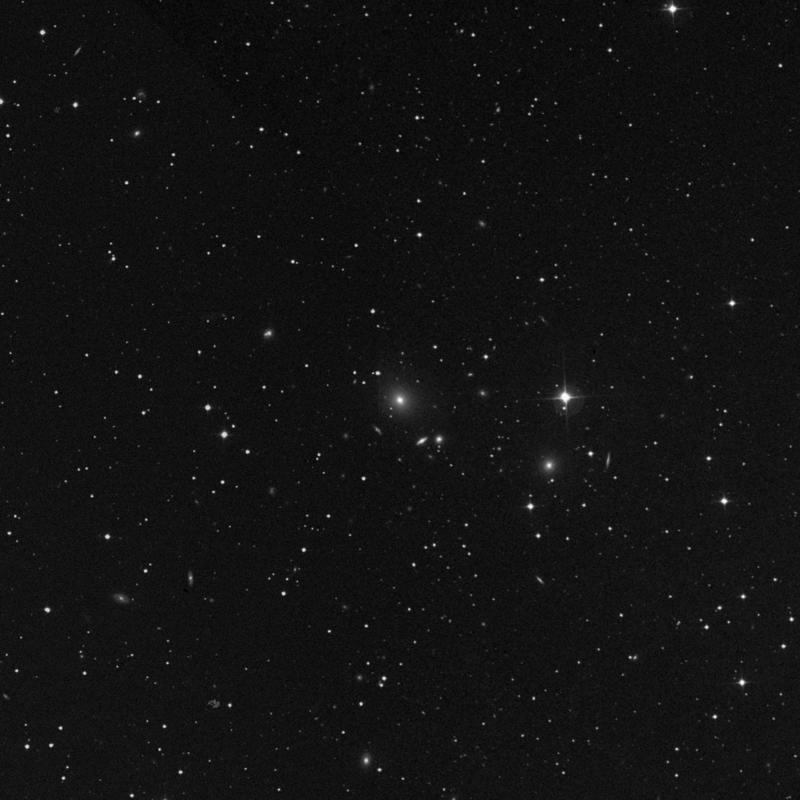 Image of NGC 2497 - Elliptical Galaxy in Lynx star