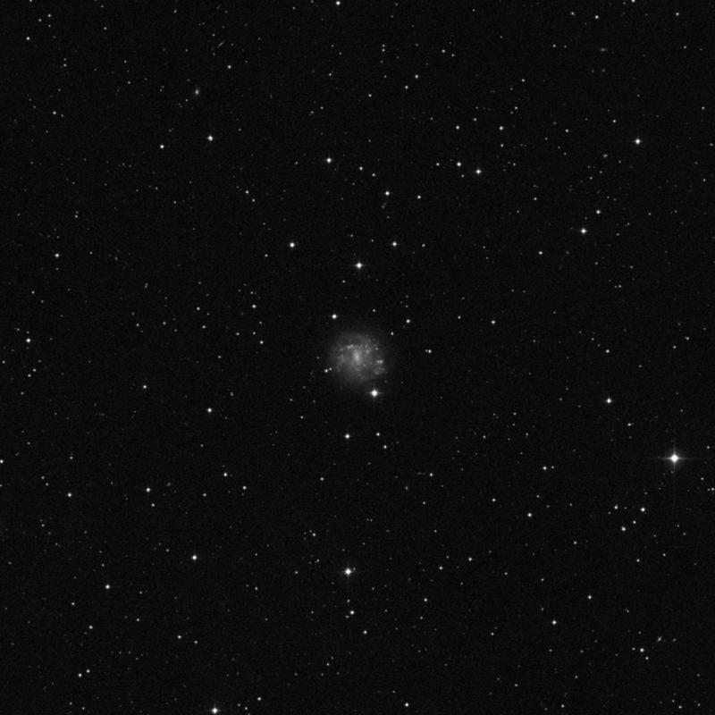 Image of NGC 2500 - Spiral Galaxy in Lynx star