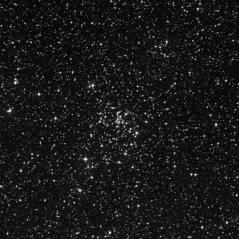 Image of NGC 2509 - Open Cluster in Puppis star