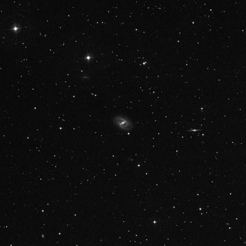 Image of NGC 2523 - Spiral Galaxy in Camelopardalis star