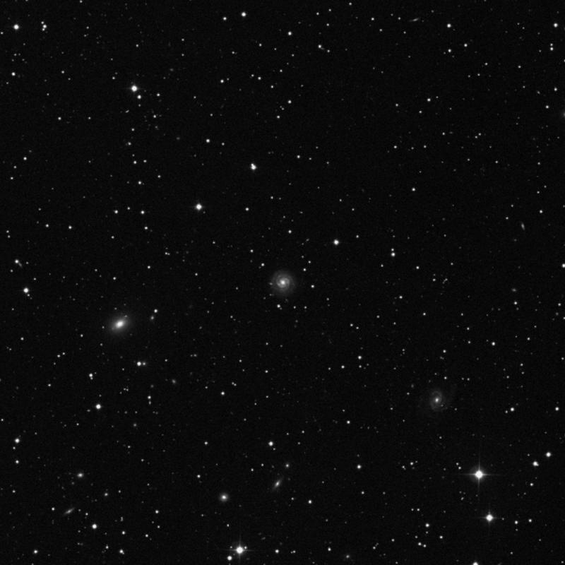 Image of NGC 2528 - Intermediate Spiral Galaxy in Lynx star